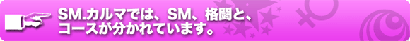 �ץ饤�١���SM �����Carma�Ȥ�2