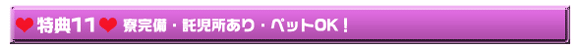 ��ͤ���ŵ11