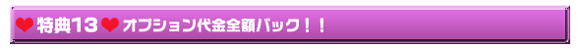 ��ͤ���ŵ13